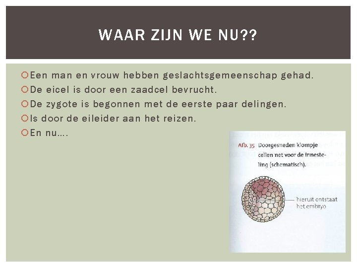 ZWANGERSCHAP EN GEBOORTE PROGRAMMA Zwangerschap Geboorte WAAR ZIJN