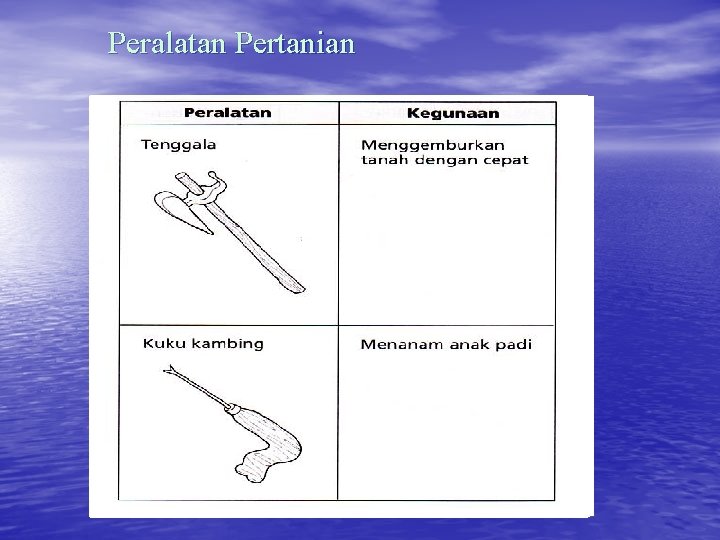 Peralatan Pertanian Mengemburkan tanah dengan cepat Menanam anak padi Menuai padi 