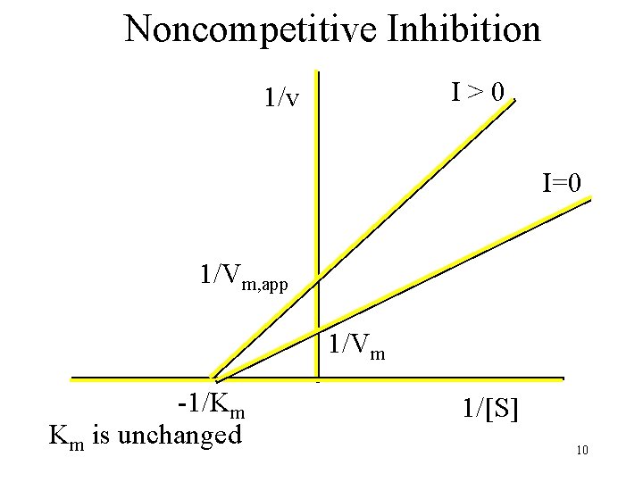 Noncompetitive Inhibition I>0 1/v I=0 1/Vm, app 1/Vm -1/Km Km is unchanged 1/[S] 10