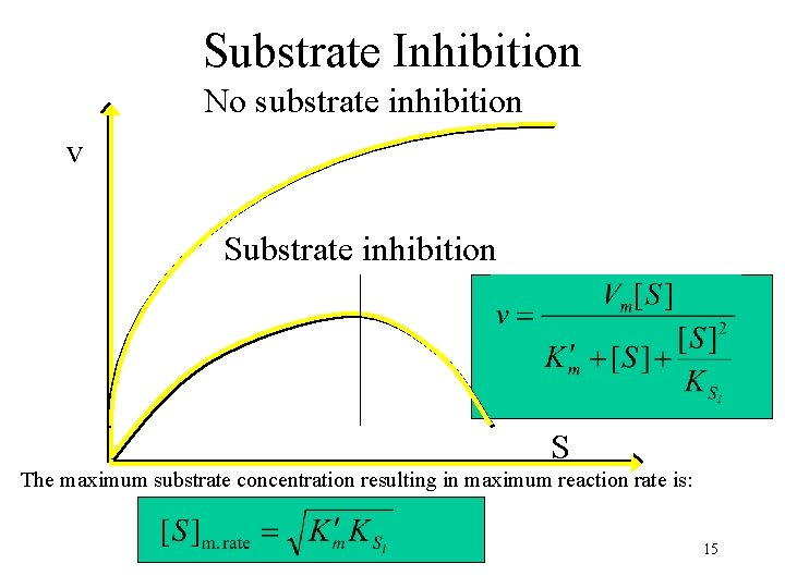 Substrate Inhibition No substrate inhibition v Substrate inhibition S The maximum substrate concentration resulting