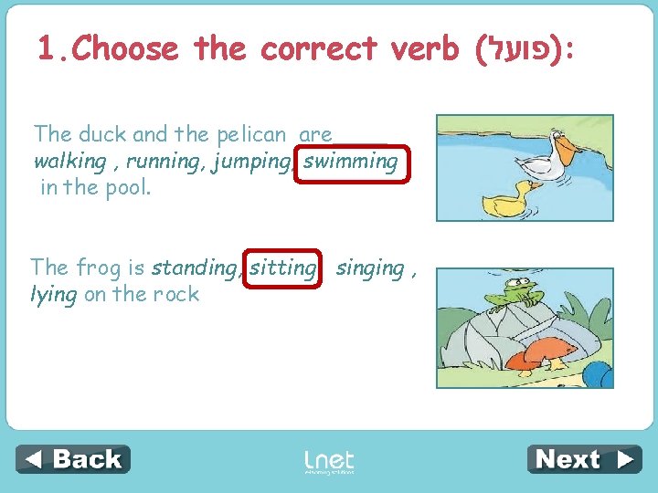 1. Choose the correct verb ( )פועל : The duck and the pelican are____