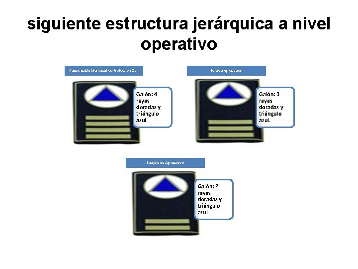 siguiente estructura jerárquica a nivel operativo Responsable Municipal de Protección Civil Jefe de Agrupación