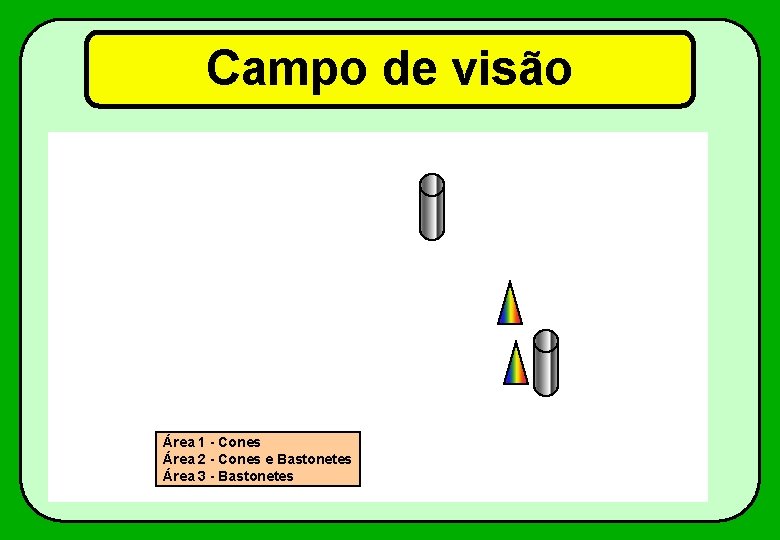 Campo de visão Área 1 - Cones Área 2 - Cones e Bastonetes Área