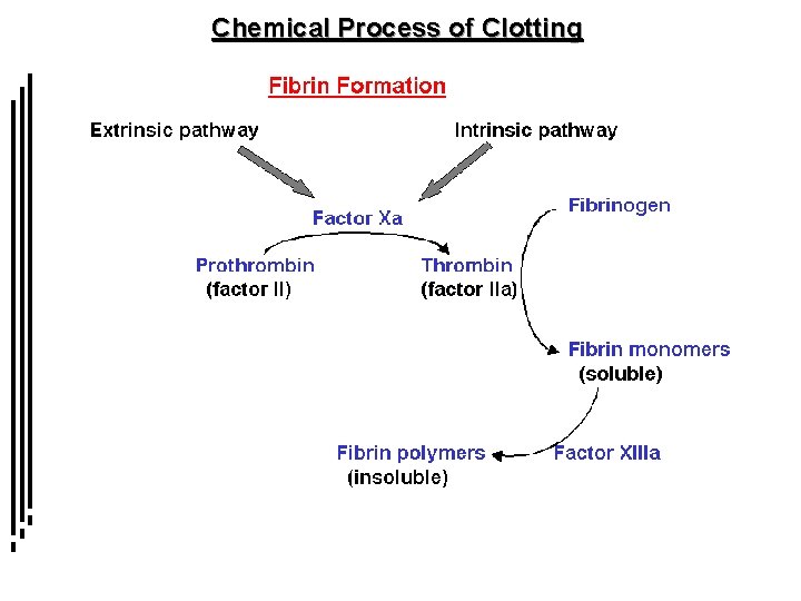 Chemical Process of Clotting 