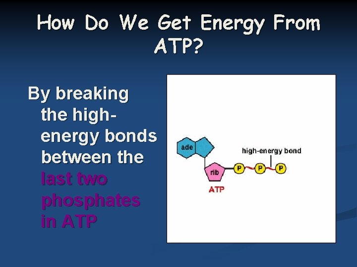 How Do We Get Energy From ATP? By breaking the high- energy bonds between