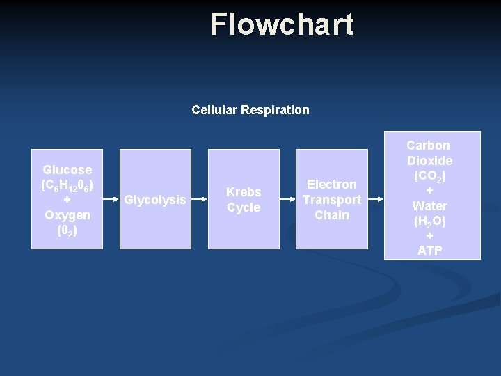 Flowchart Cellular Respiration Glucose (C 6 H 1206) + Oxygen (02) Glycolysis Krebs Cycle