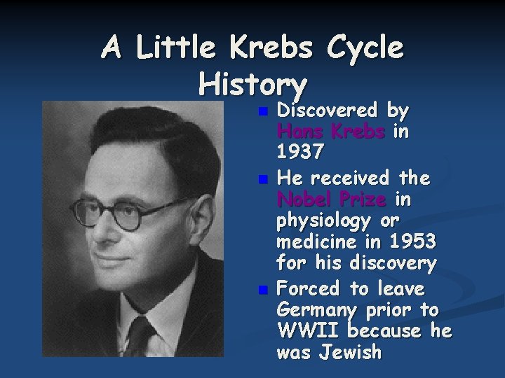 A Little Krebs Cycle History n n n Discovered by Hans Krebs in 1937