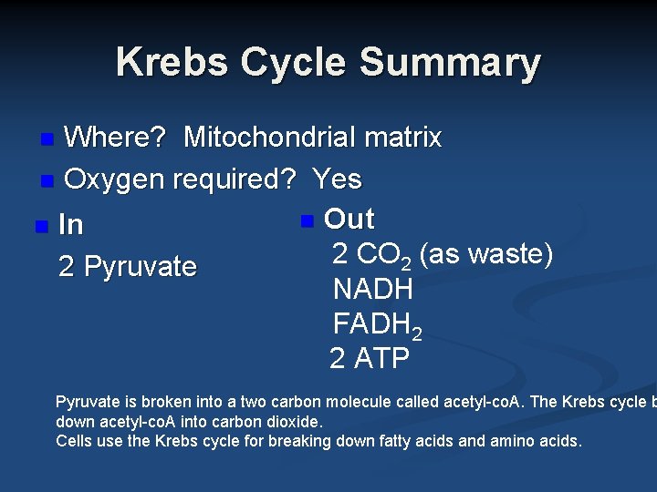 Krebs Cycle Summary Where? Mitochondrial matrix n Oxygen required? Yes n Out n In