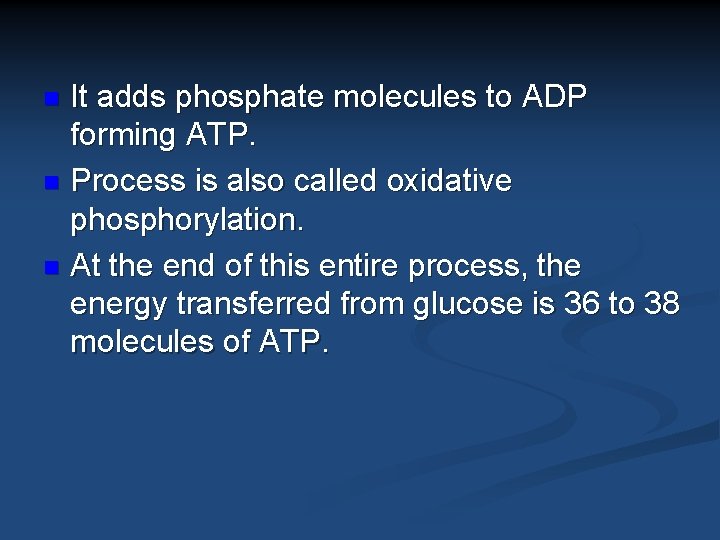 It adds phosphate molecules to ADP forming ATP. n Process is also called oxidative