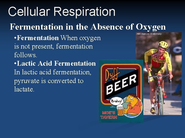 Cellular Respiration Fermentation in the Absence of Oxygen • Fermentation When oxygen is not