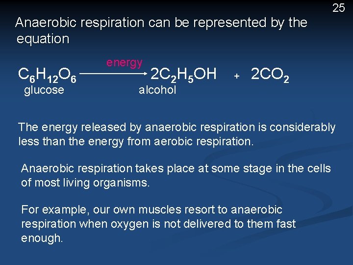 25 Anaerobic respiration can be represented by the equation C 6 H 12 O