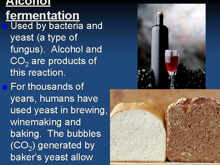 Alcohol fermentation Used by bacteria and yeast (a type of fungus). Alcohol and CO