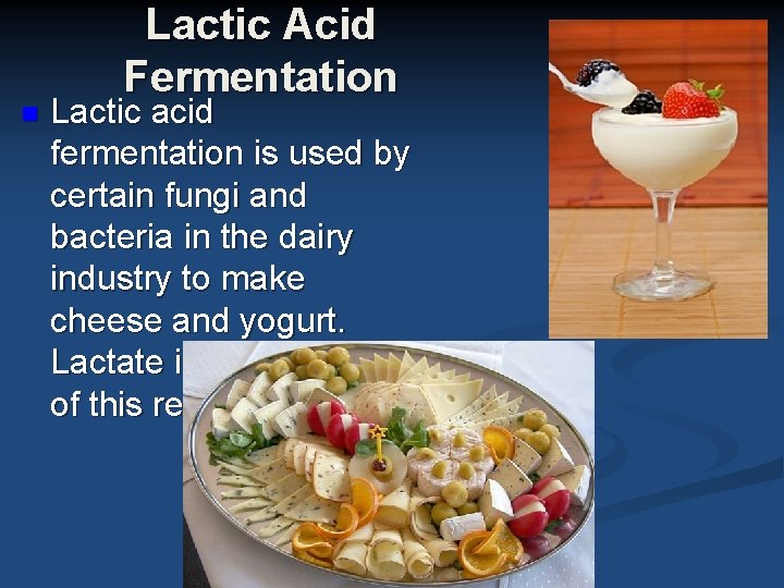 n Lactic Acid Fermentation Lactic acid fermentation is used by certain fungi and bacteria