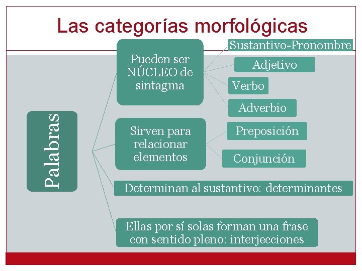 Las categorías morfológicas Sustantivo-Pronombre Palabras Pueden ser NÚCLEO de sintagma Adjetivo Verbo Adverbio Sirven