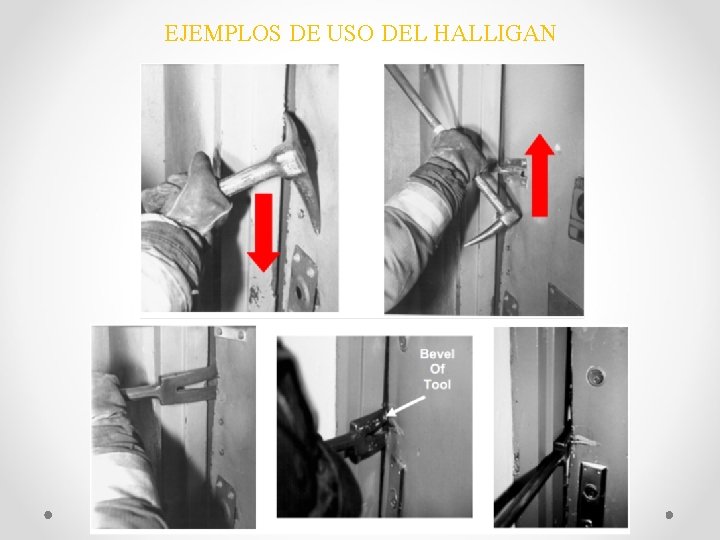 EJEMPLOS DE USO DEL HALLIGAN 