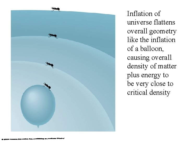 Inflation of universe flattens overall geometry like the inflation of a balloon, causing overall