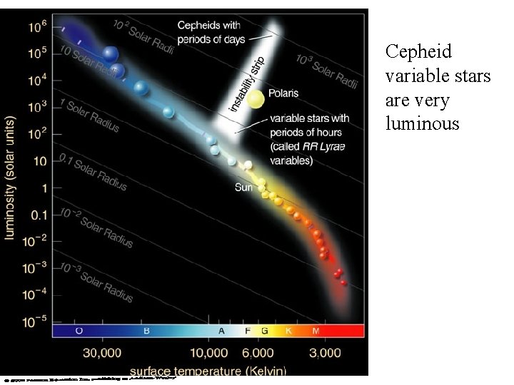 Cepheid variable stars are very luminous 