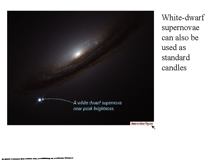 White-dwarf supernovae can also be used as standard candles 