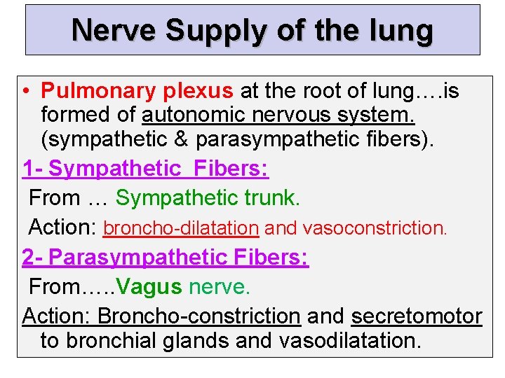 Nerve Supply of the lung • Pulmonary plexus at the root of lung…. is