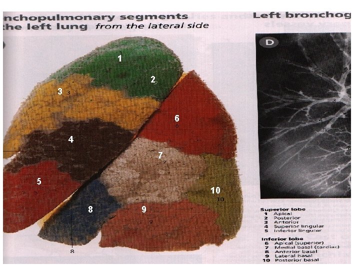 1 2 3 6 4 7 5 10 8 9 