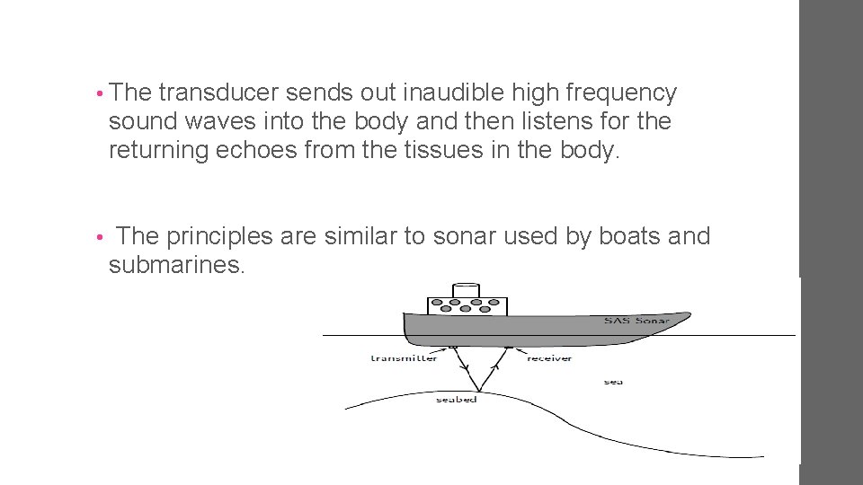  • The transducer sends out inaudible high frequency sound waves into the body