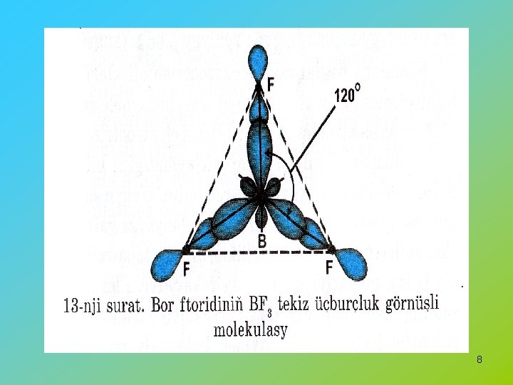 8 