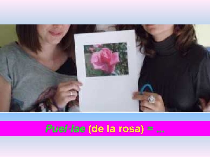 Puel·lae (de la rosa) =. . . 