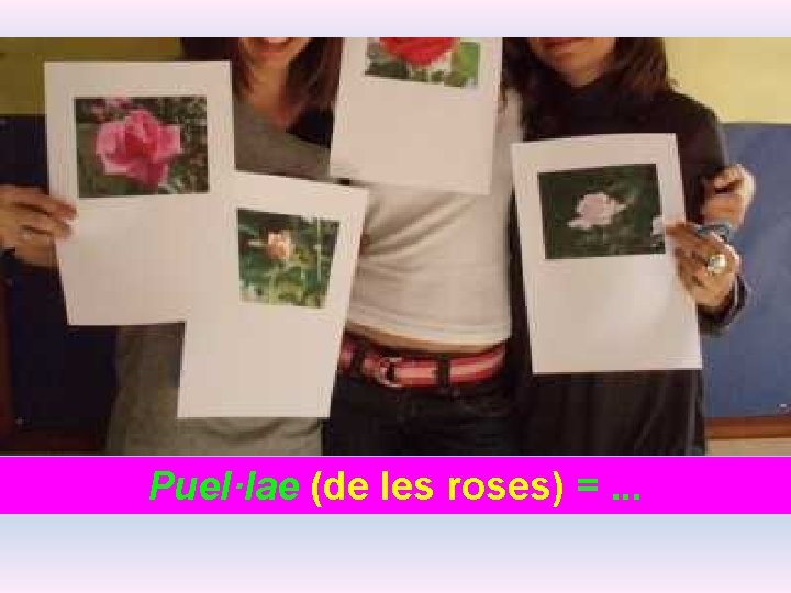 Puel·lae (de les roses) =. . . 