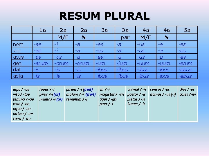 RESUM PLURAL 1 a nom voc acus gen dat abla -ae -as -arum -is