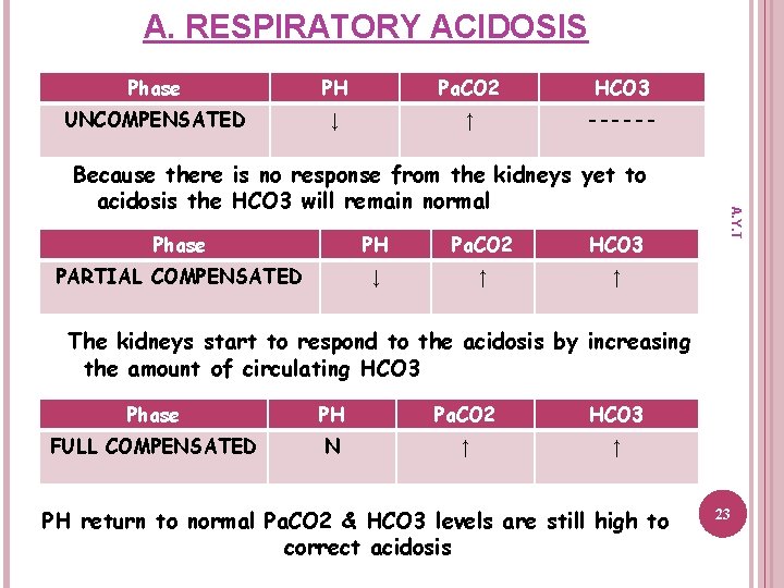 A. RESPIRATORY ACIDOSIS Phase PH Pa. CO 2 HCO 3 UNCOMPENSATED ↓ ↑ ------