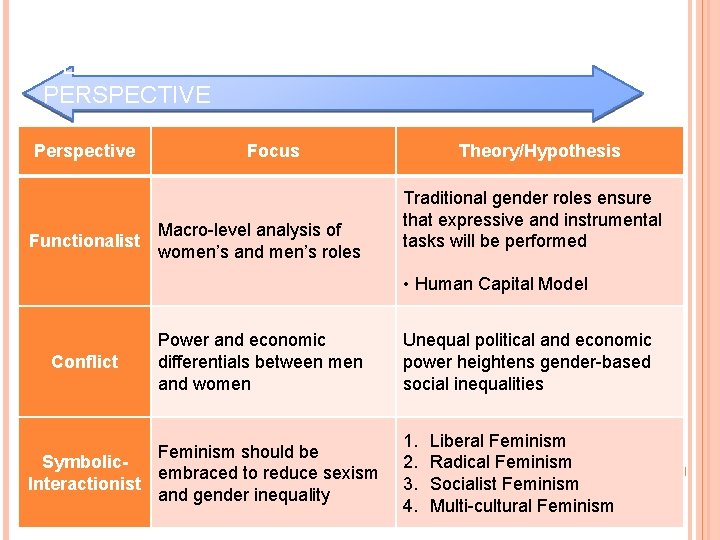 GENDER STRATIFICATION: A SOCIOLOGICAL PERSPECTIVE Perspective Functionalist Focus Macro-level analysis of women’s and men’s