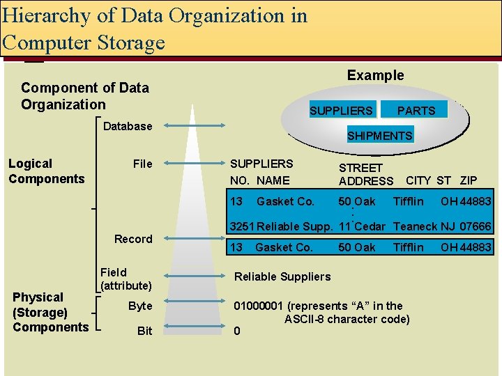 Hierarchy of Data Organization in Computer Storage Example Component of Data Organization SUPPLIERS Database