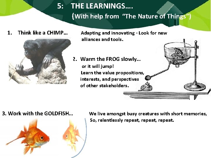 5: THE LEARNINGS…. (With help from “The Nature of Things”) 1. Think like a