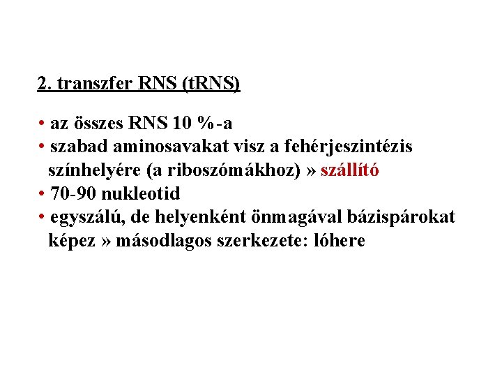 2. transzfer RNS (t. RNS) • az összes RNS 10 %-a • szabad aminosavakat