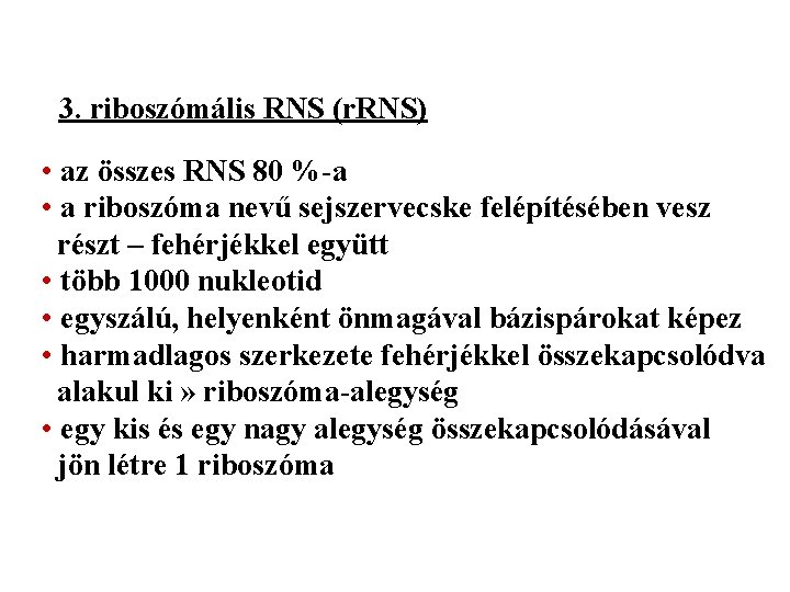 3. riboszómális RNS (r. RNS) • az összes RNS 80 %-a • a riboszóma