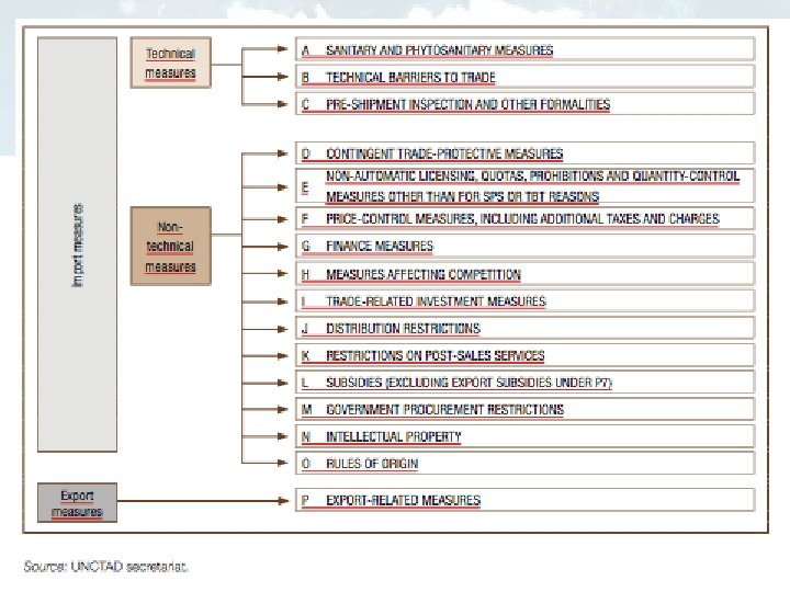 13 Classification of NTM Dra. Luz Alicia Jiménez Portugal 