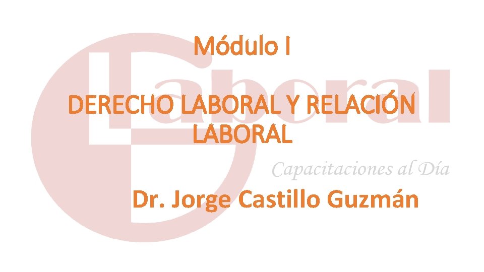 Módulo I DERECHO LABORAL Y RELACIÓN LABORAL Dr. Jorge Castillo Guzmán 