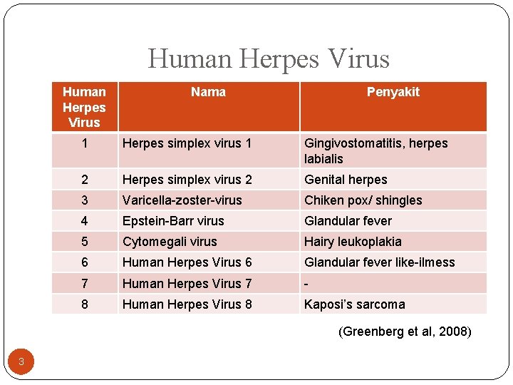 Human Herpes Virus Nama Penyakit 1 Herpes simplex virus 1 Gingivostomatitis, herpes labialis 2
