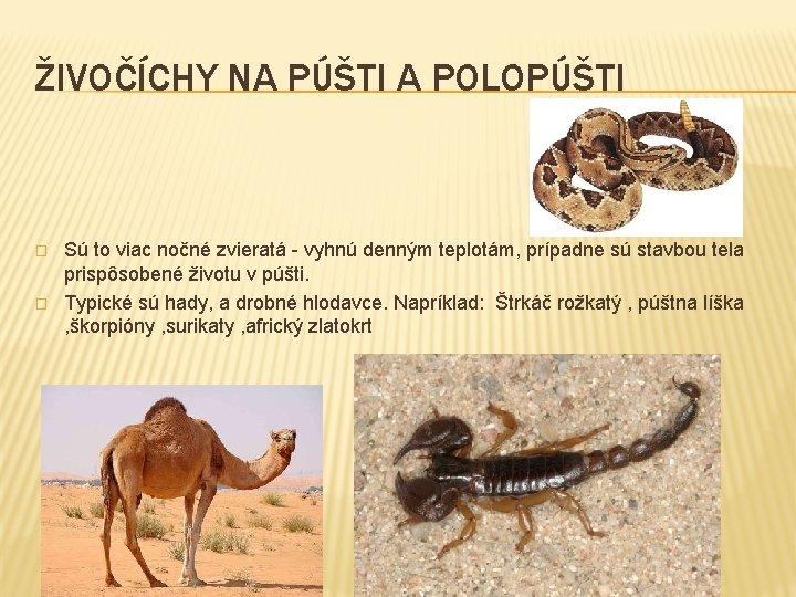 ŽIVOČÍCHY NA PÚŠTI A POLOPÚŠTI � � Sú to viac nočné zvieratá - vyhnú