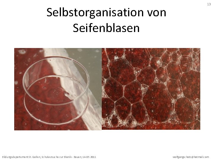Selbstorganisation von Seifenblasen Bildungsdepartement St. Gallen, Schulversuche zur Bionik - Bauen; 14 -05. 2011