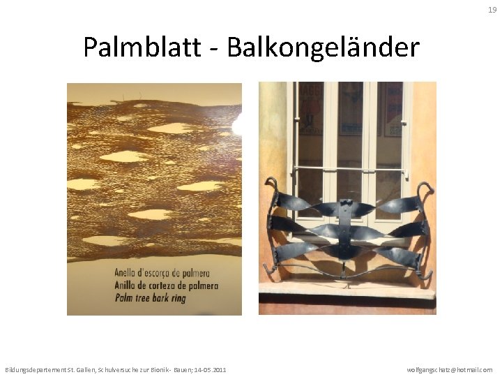 19 Palmblatt - Balkongeländer Bildungsdepartement St. Gallen, Schulversuche zur Bionik - Bauen; 14 -05.