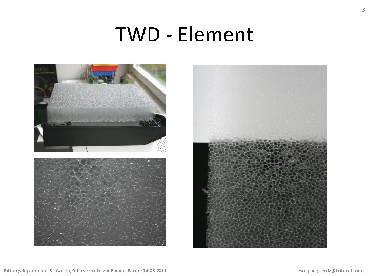 3 TWD - Element Bildungsdepartement St. Gallen, Schulversuche zur Bionik - Bauen; 14 -05.