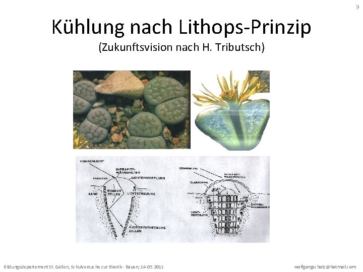 9 Kühlung nach Lithops-Prinzip (Zukunftsvision nach H. Tributsch) Bildungsdepartement St. Gallen, Schulversuche zur Bionik