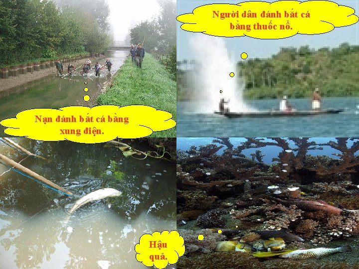 Người dân đánh bắt cá bằng thuốc nổ. Nạn đánh bắt cá bằng xung