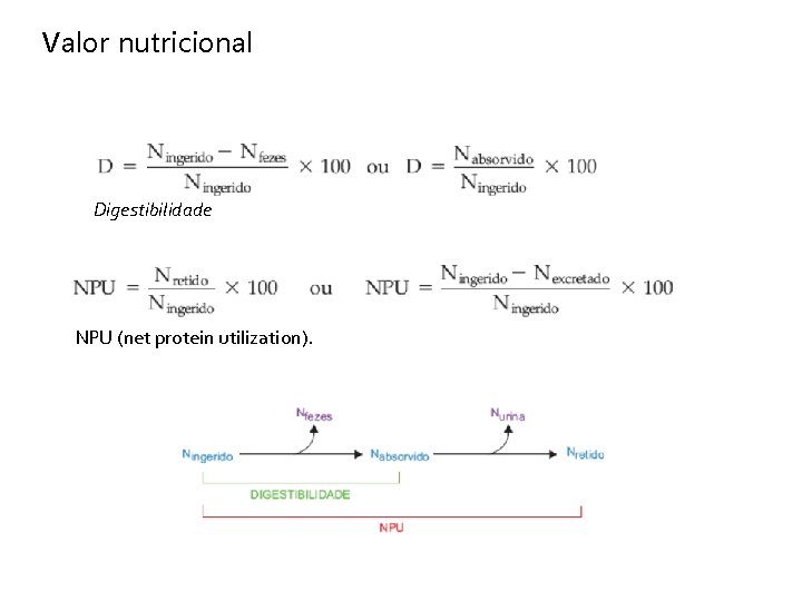Valor nutricional Digestibilidade NPU (net protein utilization). 