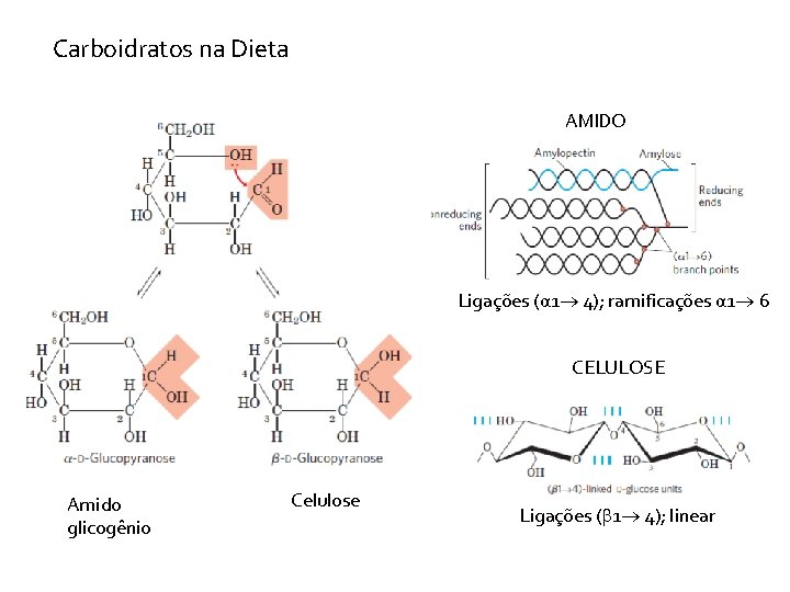 Carboidratos na Dieta AMIDO Ligações (α 1 4); ramificações α 1 6 CELULOSE Amido