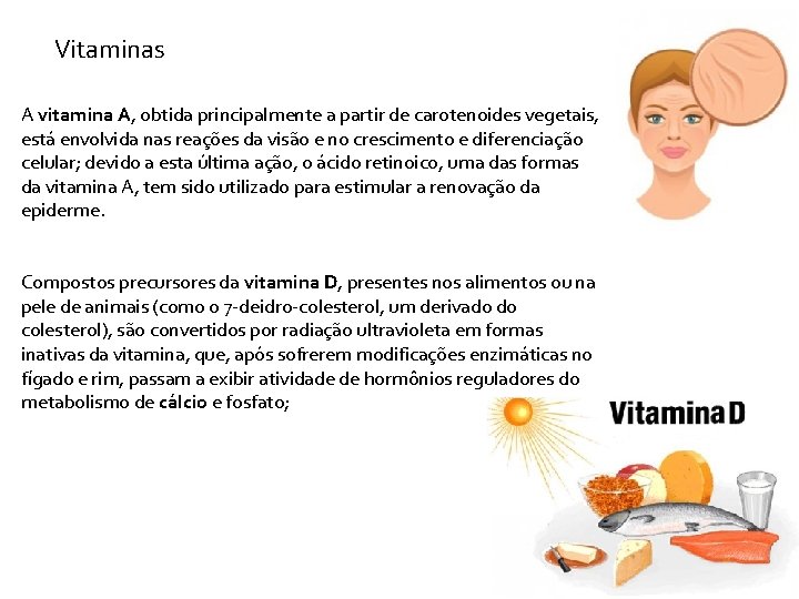 Vitaminas A vitamina A, obtida principalmente a partir de carotenoides vegetais, está envolvida nas