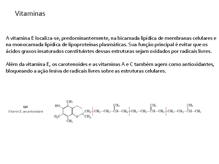 Vitaminas A vitamina E localiza-se, predominantemente, na bicamada lipídica de membranas celulares e na