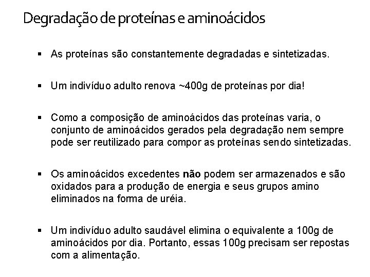 Degradação de proteínas e aminoácidos As proteínas são constantemente degradadas e sintetizadas. Um indivíduo