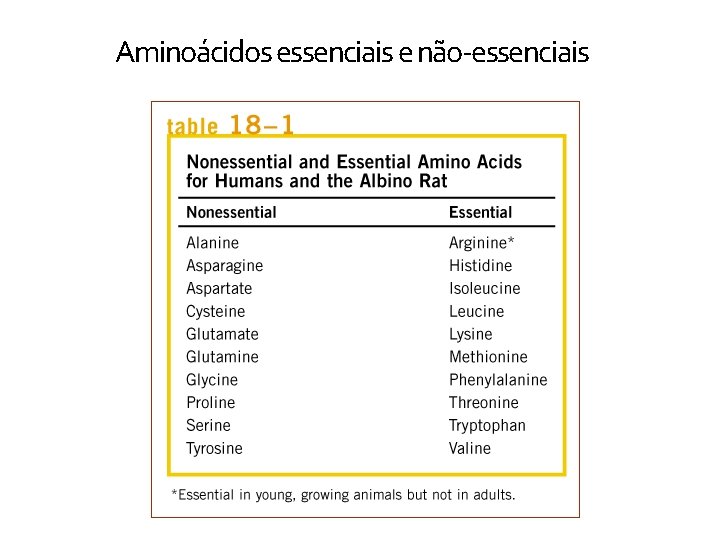 Aminoácidos essenciais e não-essenciais 